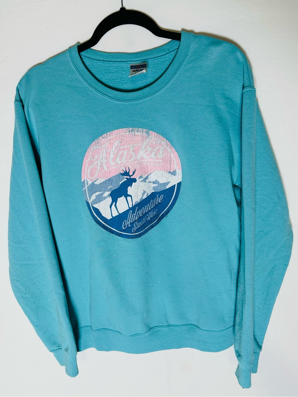 Vintage Vibe Jerzees Distressed Alaska Moose Sweatshirt S Aqua Gorpcore Retro